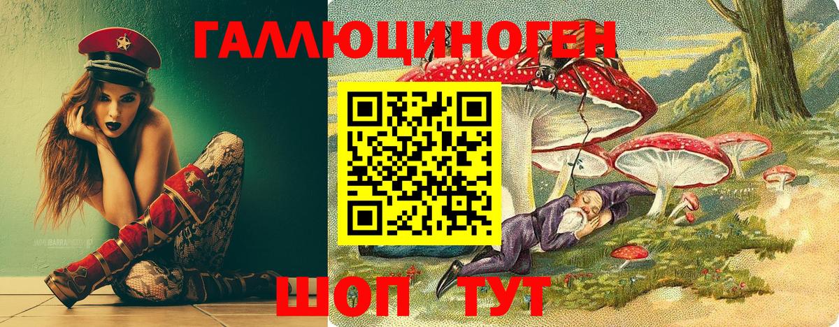 Галлюциногенные грибы Psilocybine cubensis Старый Оскол
