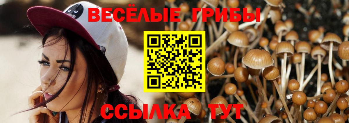 Псилоцибиновые грибы ЛСД  Вход с VPN  Старый Оскол 